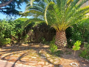 Jardines del alojamiento