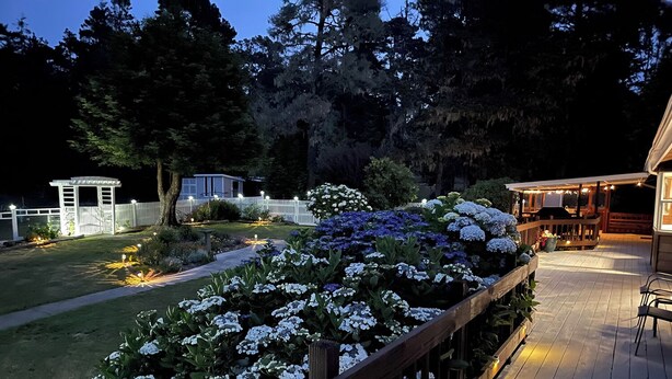 A wooden deck with a railing, surrounded by a garden with white and purple flowers. - A luxurious vacation rental just minutes away from the beach! (Fort Bragg)