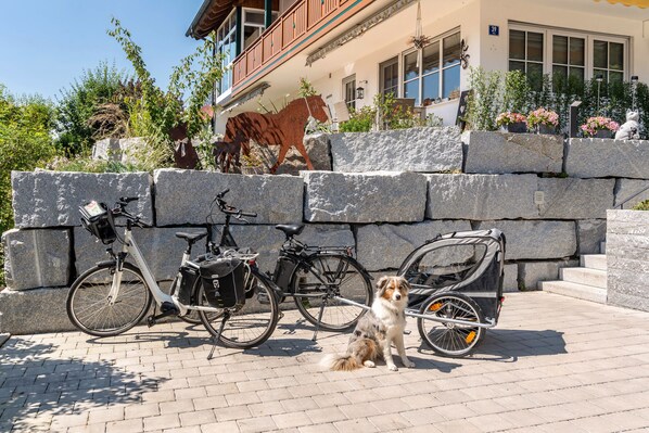 Terrein van de accommodatie