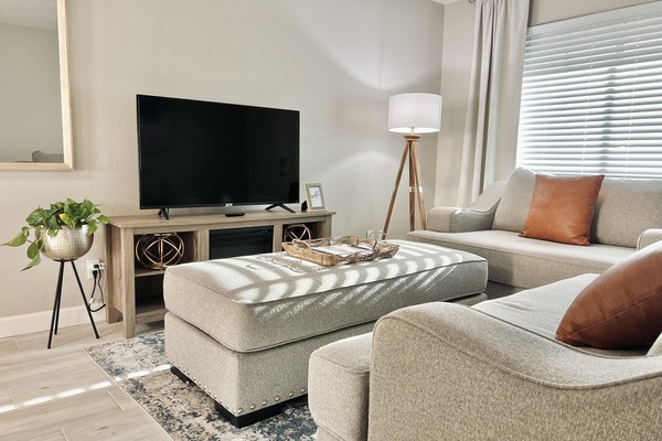 Cozy & comfortable Downtown Gilbert Arizona Home - Living Room