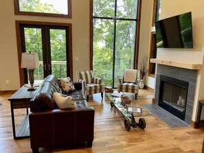 Smart TV, fireplace, books