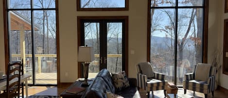 Smart TV, chimenea y libros