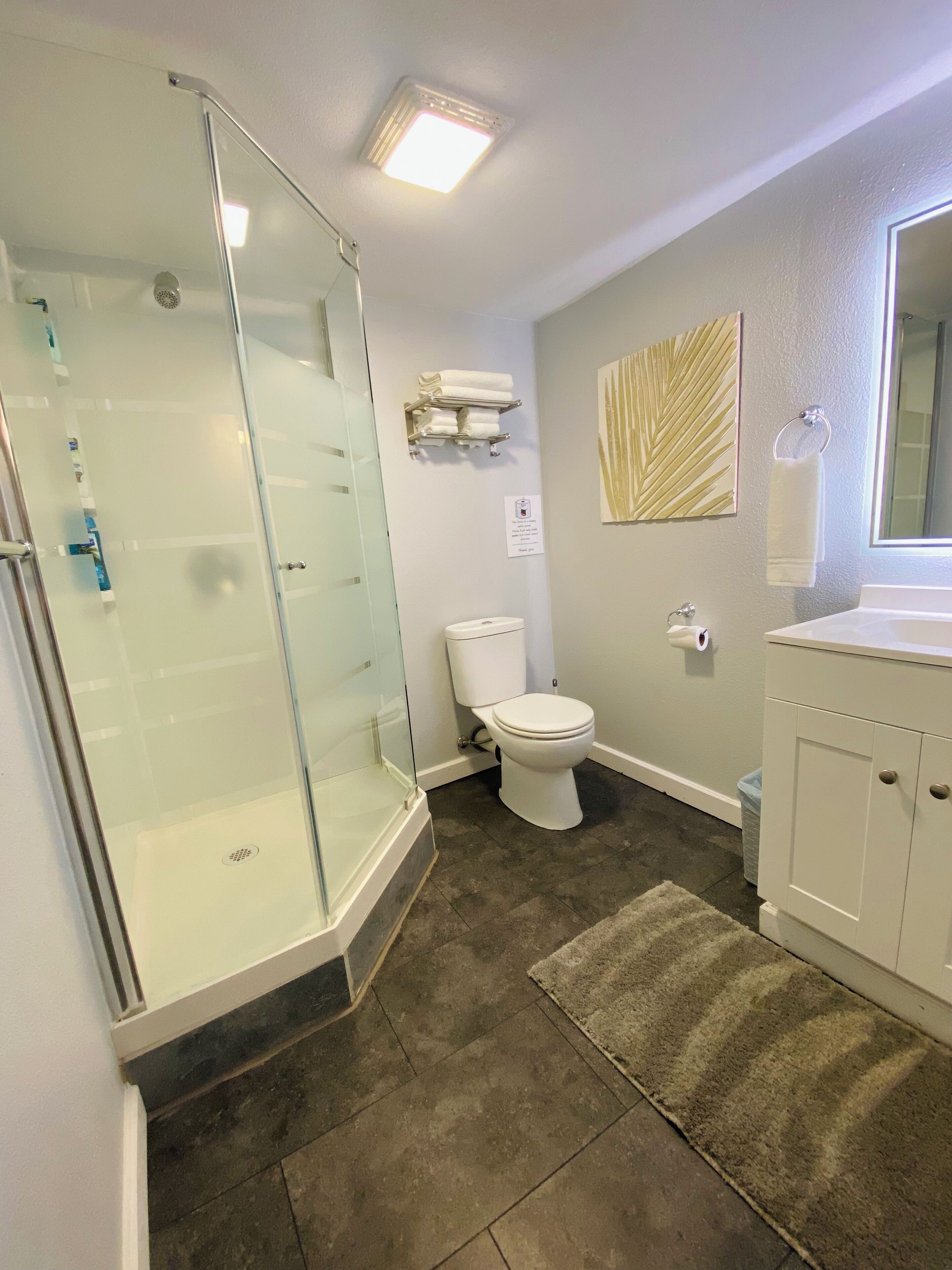 A bathroom with a glass-enclosed shower, a toilet, a sink, and a mirror.