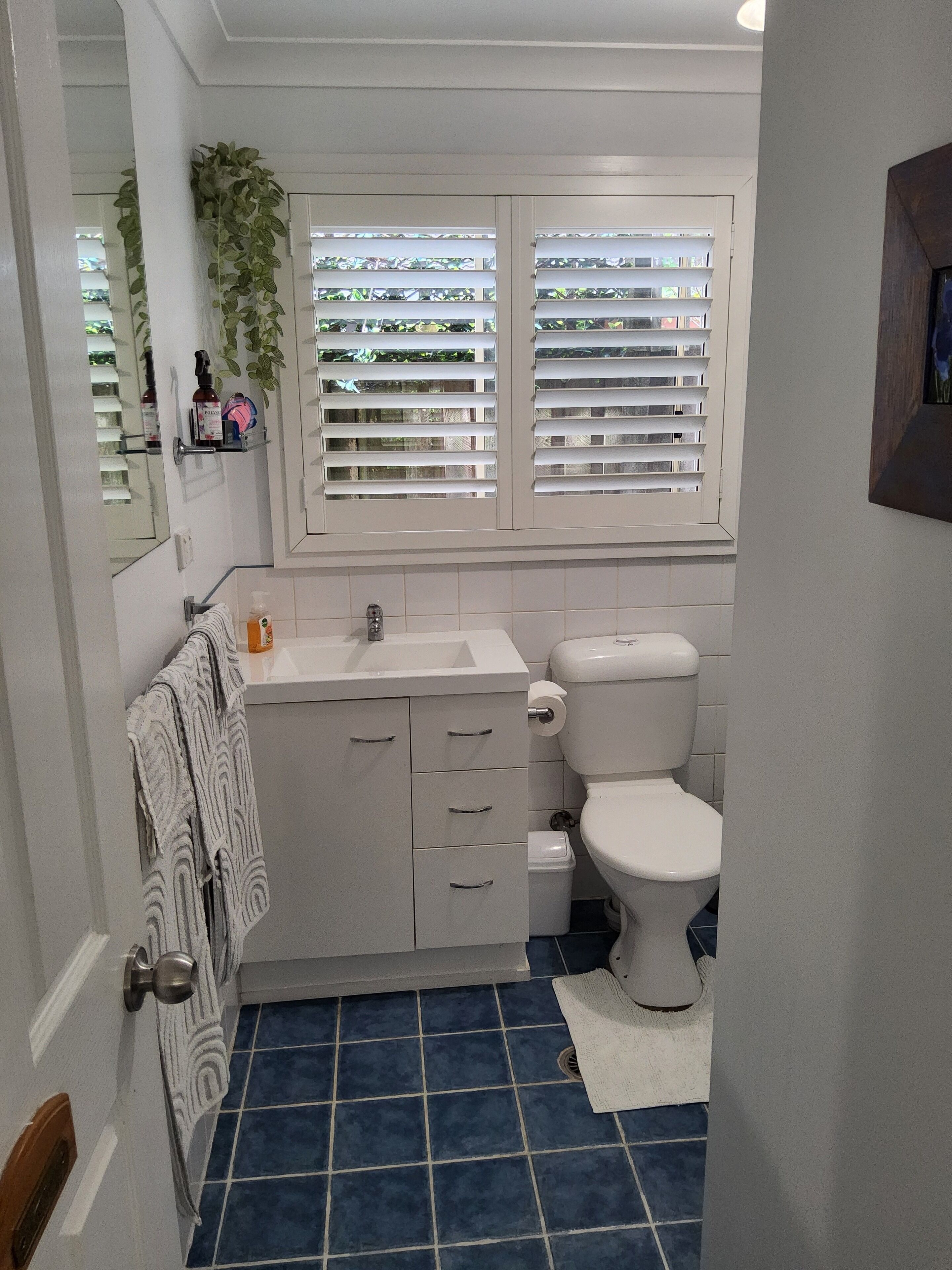 Une salle de bain avec des toilettes, un lavabo et un miroir. Il y a une fenêtre avec des stores et une plante accrochée au mur.