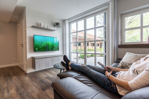 Fernseher, Stereoanlage