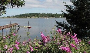 Unclassified image, 3 of 3, button