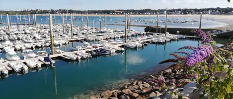 مارينا