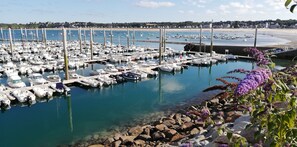 Un port de plaisance où sont amarrés de nombreux bateaux, une plage de sable en arrière-plan et une côte rocheuse parsemée de fleurs violettes au premier plan.