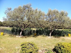 Property grounds - Villa with swimming pool in Ramatuelle - plaine de Pampelonne (Ramatuelle)