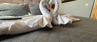 Hotel Bern by Rikas Hotels