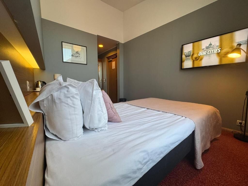 Habitación individual tradicional | Minibar, escritorio, wifi gratis y ropa de cama 