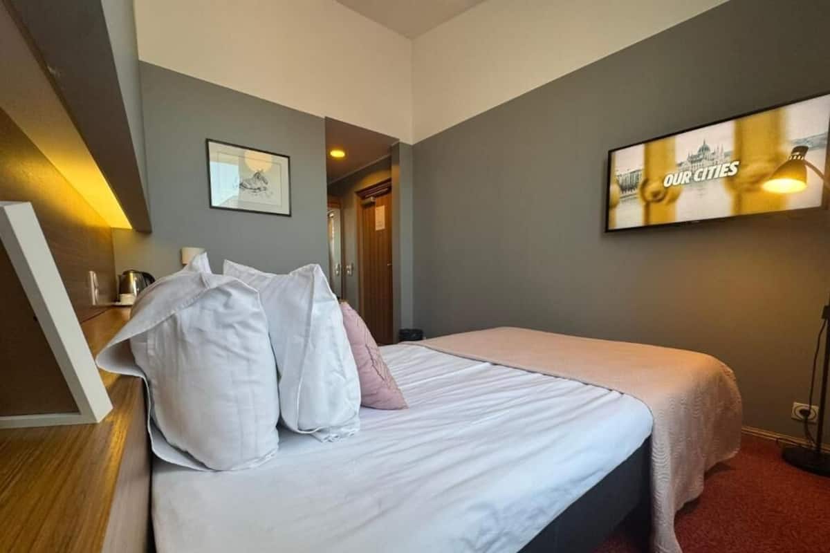Traditional Single Room | Minibar, desk, WiFi (free), bed sheets