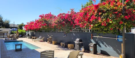 Piscine extérieure, piscine chauffée