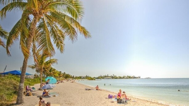 Een strand met palmbomen, mensen die ontspannen en strandparasols.