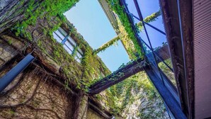 A building with a metal framework and green vines growing over it. - Located in the trendy West end of Fremantle, this stylish Airbnb is perfect for beach lovers and urban explorers alike. (Fremantle)