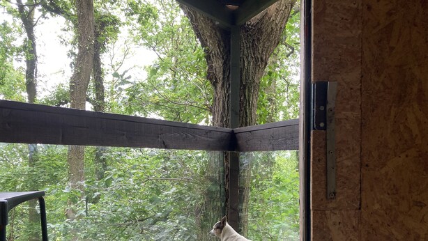 شرفة