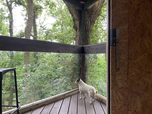 3 Guests - Pet Friendly - Grid Tree-house