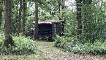 Kabin | Halaman properti