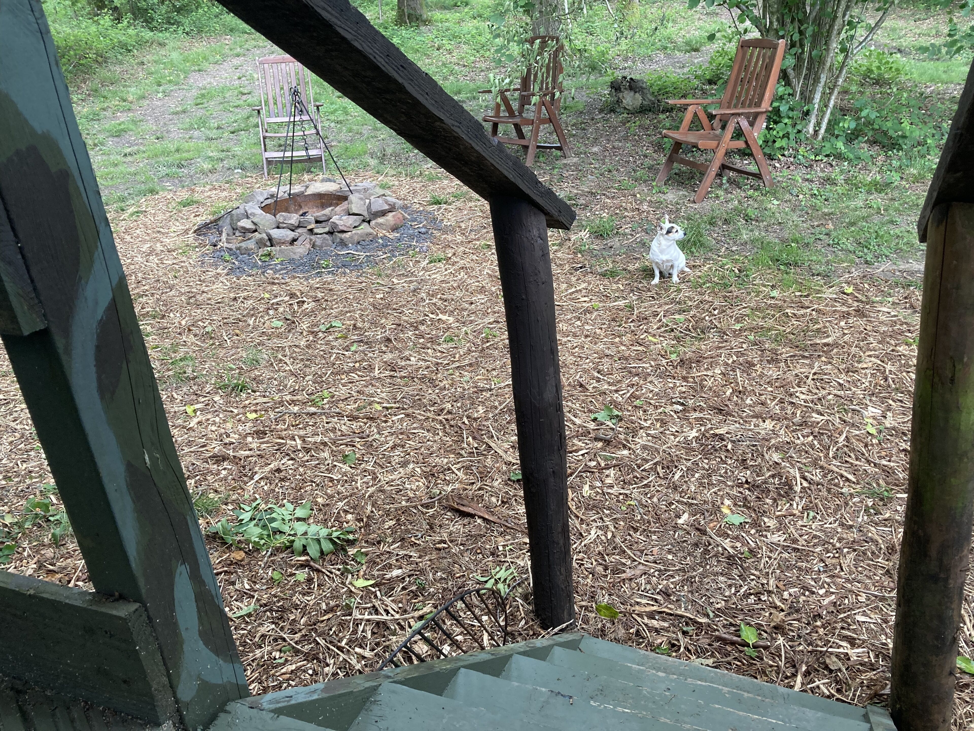 A rustic outdoor area with a fire pit, wooden chairs, and a dog.