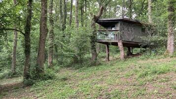 Cabin | Khuôn viên nơi lưu trú