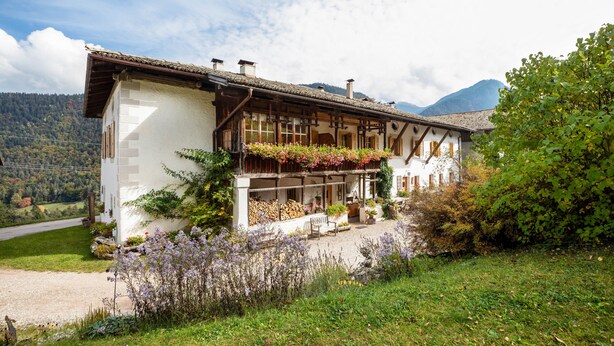 A traditional chalet with a balcony, surrounded by lush greenery and mountains in the background.