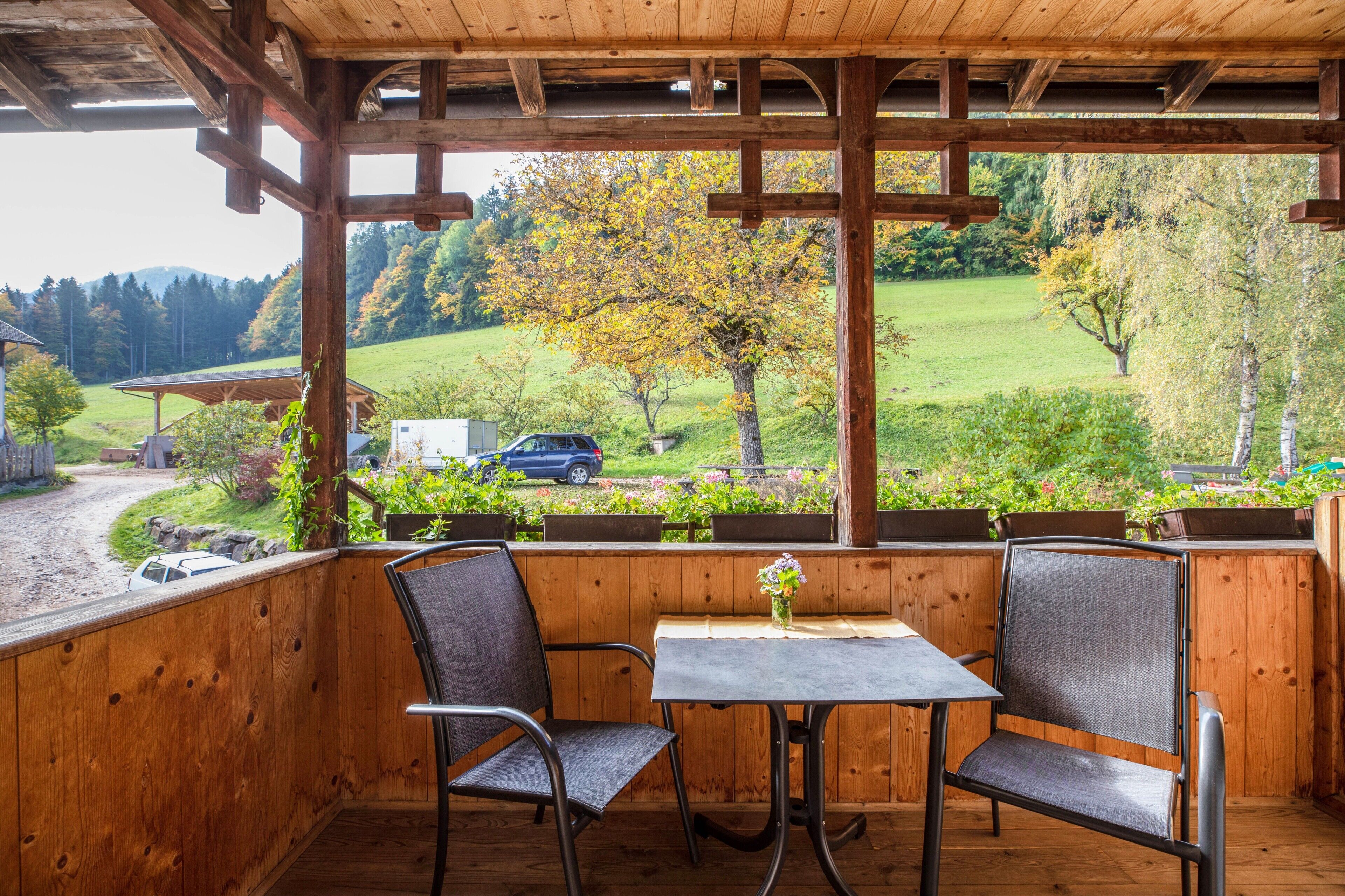 Un espace extérieur abrité, aménagé avec deux chaises et une table, qui offre une vue sur un paysage verdoyant, avec des arbres et une voiture garée.