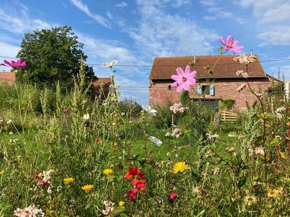 Un paisaje rural con una casa de ladrillo rodeada de diversas flores silvestres y follaje.