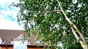 Exterior - Pet Friendly Canalside House in quiet area of Quedgeley - Gloucester (Quedgeley)