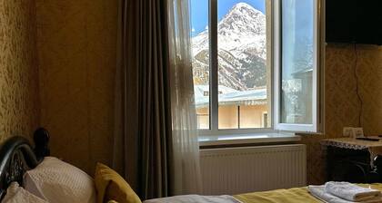 A cozy house with veranda and big yard, with the best view on Kazbegi mountain..