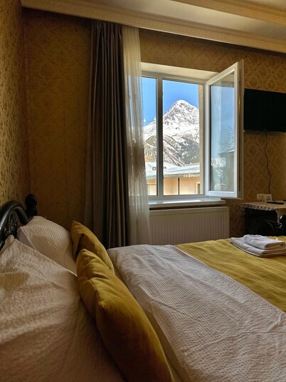 A cozy house with veranda and big yard, with the best view on Kazbegi mountain..