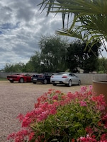 A parking area with several cars and a row of flowering plants.