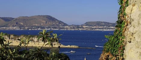 Stadsuitzicht vanuit accommodatie