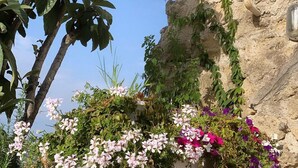 A garden with various plants and flowers, a tree, and a rocky wall. - Pharus miseni (Bacoli)
