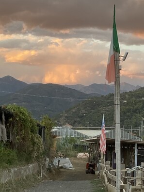 منوع