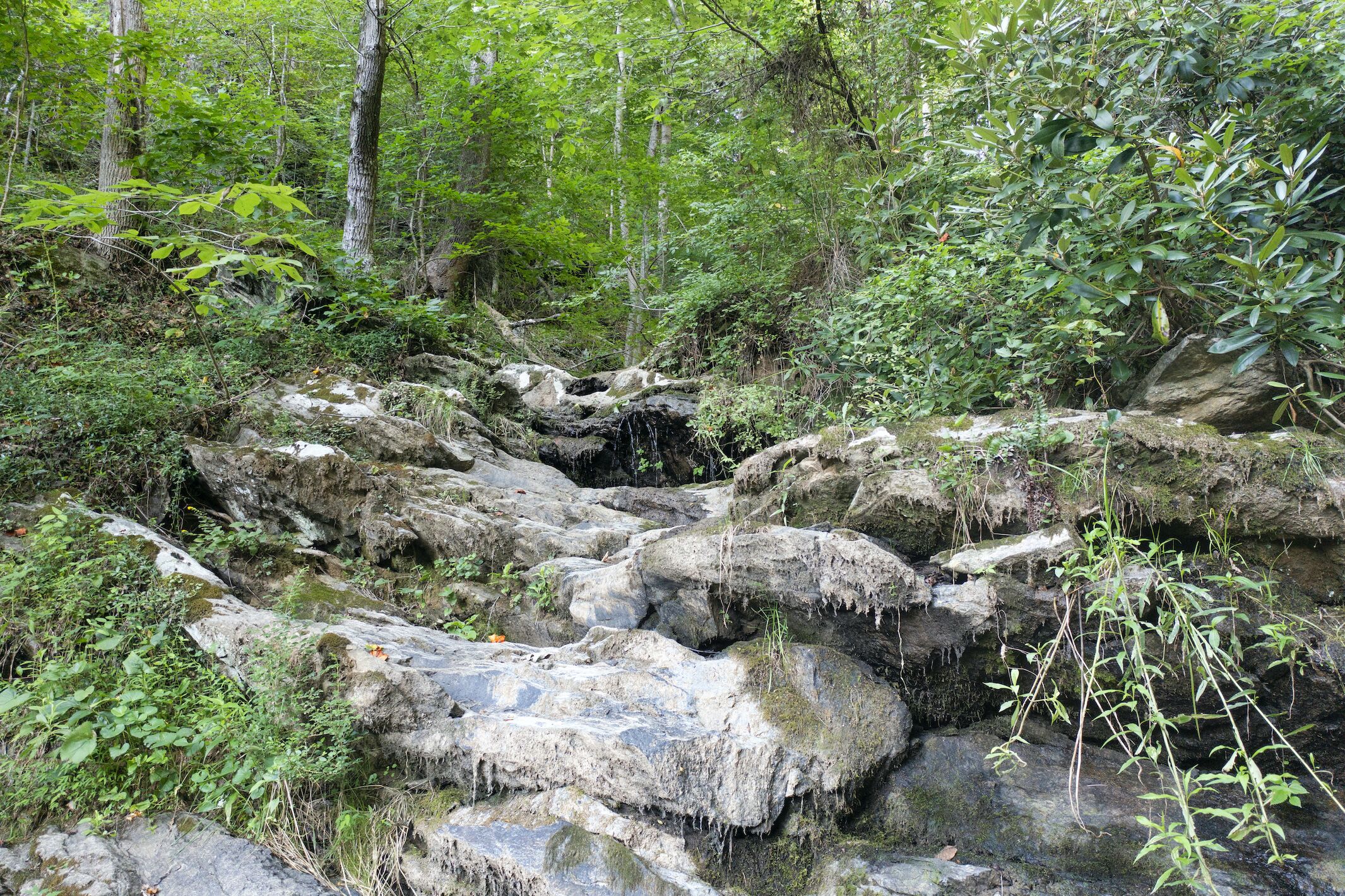 A natural rocky terrain with dense greenery and trees.