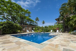 A swimming pool with lounge chairs, surrounded by tropical vegetation and a clear blue sky. - Wow the beach is right here!  Plus air conditioned! (Kapaa)