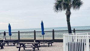 Un espace de pique-nique aménagé au bord de la plage, avec des bancs et des parasols, un palmier et une clôture blanche.