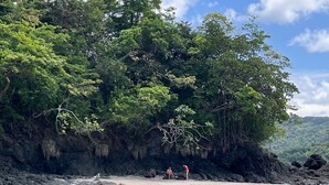 Una playa con acantilados rocosos y vegetación densa.