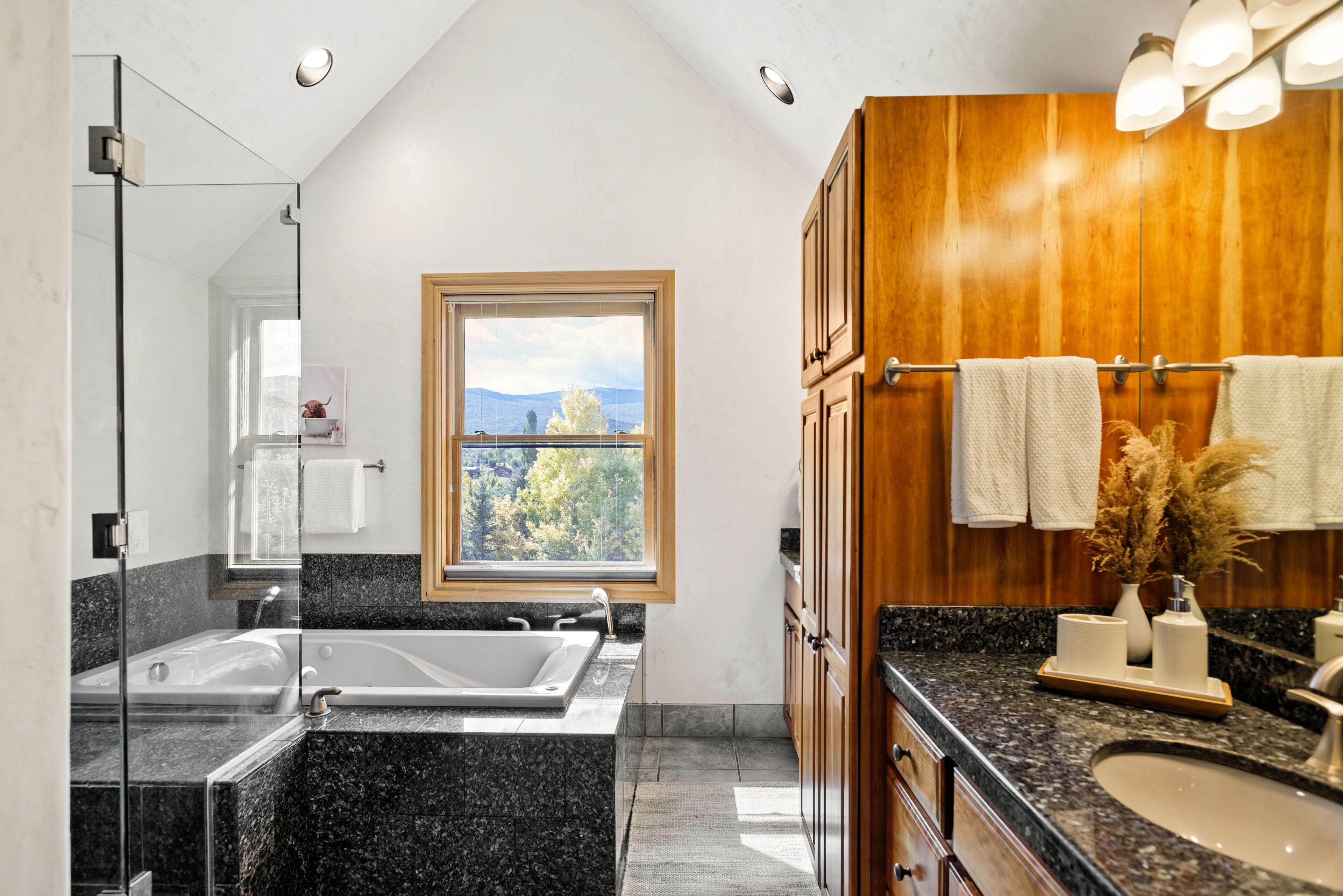 Combined shower/tub, jetted tub, hair dryer, towels