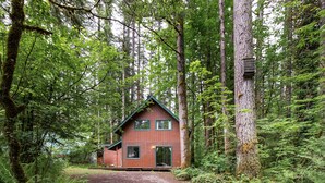 Un chalet rustique à l’extérieur rouge, entouré d’une forêt dense.