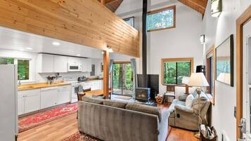 TV, fireplace, books