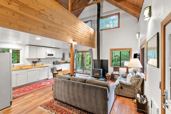 TV, fireplace, books