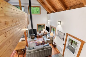 TV, fireplace, books