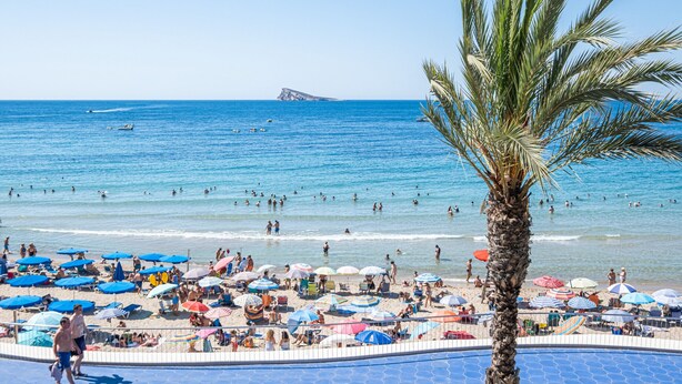 A beach with umbrellas, people, and a palm tree. - Benipark 4-2-B Poniente Beach (Benidorm)