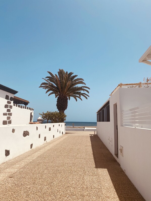 A pathway leading to a beach with a palm tree and a white building with stone accents.