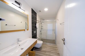 Shower, designer toiletries, hair dryer, slippers