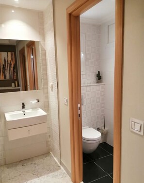 Dusche, Whirlpool, Haartrockner, Handtücher