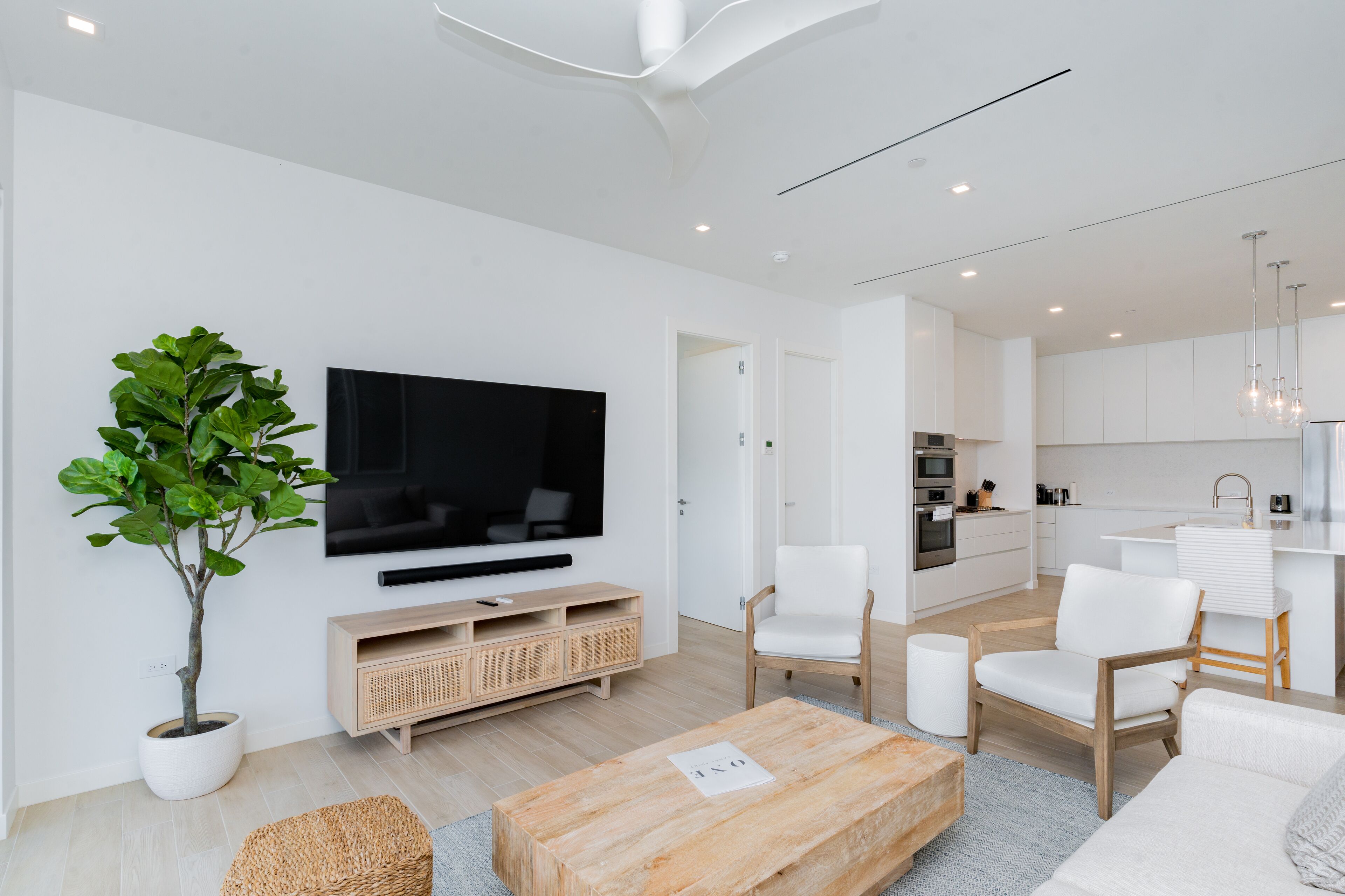 Een moderne woonkamer met een flatscreen televisie, een potplant en een houten salontafel.