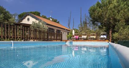 The green house with swimming pool