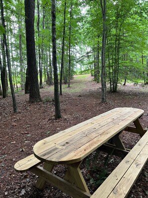 Ein hölzernes Picknicktisch in einem Wald mit hohen Bäumen und einem mit Laub bedeckten Boden.